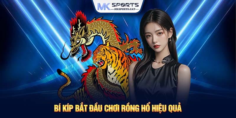 Bí kíp bắt đầu chơi Rồng Hổ hiệu quả