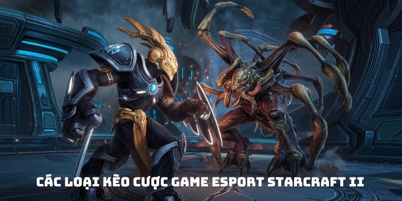 Các loại kèo cược game eSport StarCraft II