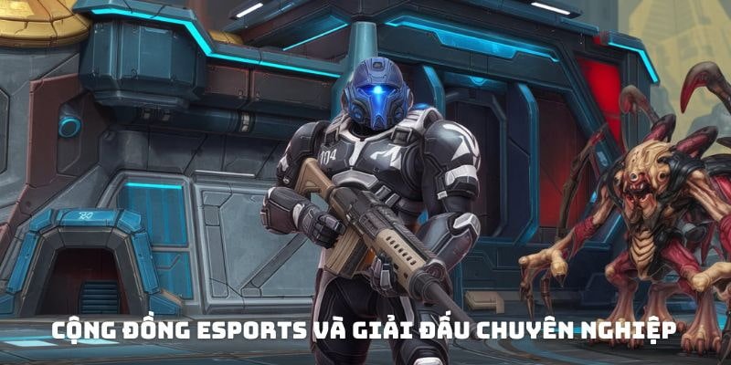 Cộng đồng esports và giải đấu chuyên nghiệp